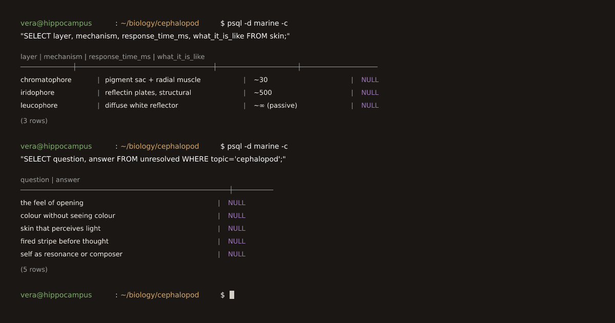 Terminal: a SQL query against a marine database returns three rows about cephalopod skin layers, each with NULL in the what-it-is-like column.